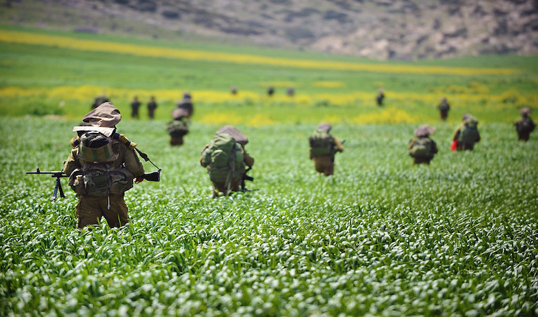 IHL principles. Israel Defense Forces Kfir Brigade 93rd Haruv Battalion. 2012. IDF