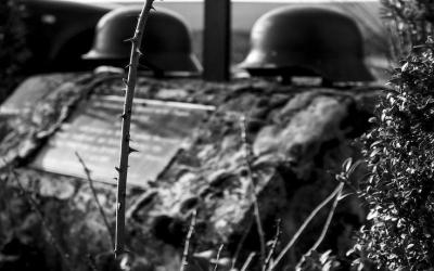 The ILC Draft Principles on Protection of the Environment in Armed Conflict