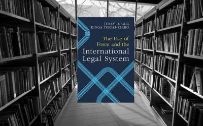 The Use of Force and the International Legal System