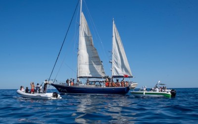 The Madleen Incident and the Gaza Naval Blockade