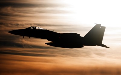 In Honor of Françoise Hampson – Parsing Proportionality