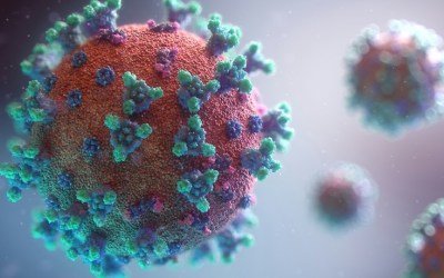 Biological Weapons: Why Strengthening the BWC Matters Now